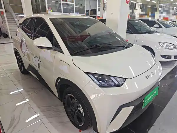 BYD Seagull 2024