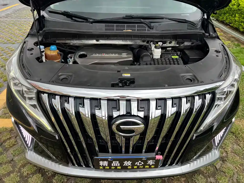 GAC Motor Trumpchi M8 2019 — фото 14