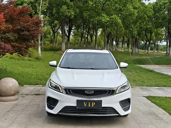 Geely Binrui 2019