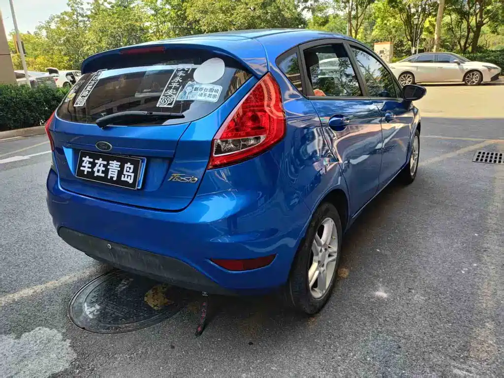 Ford Fiesta 2010 — фото 10