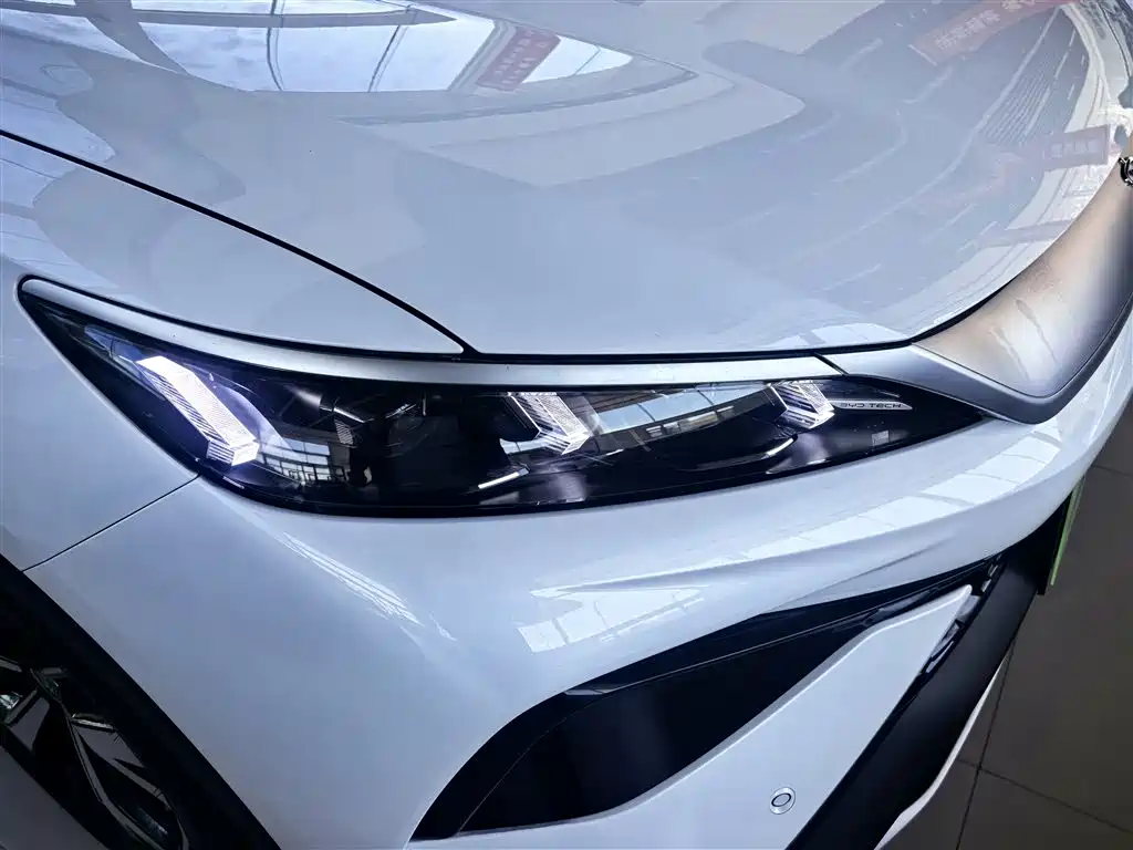 BYD Pro New Energy 2025 — фото 5