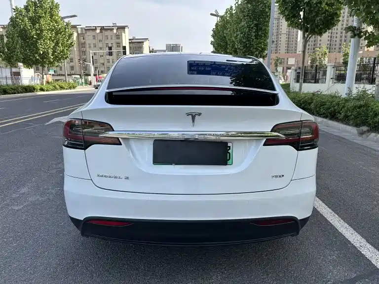 Tesla Model X 2019 — фото 7