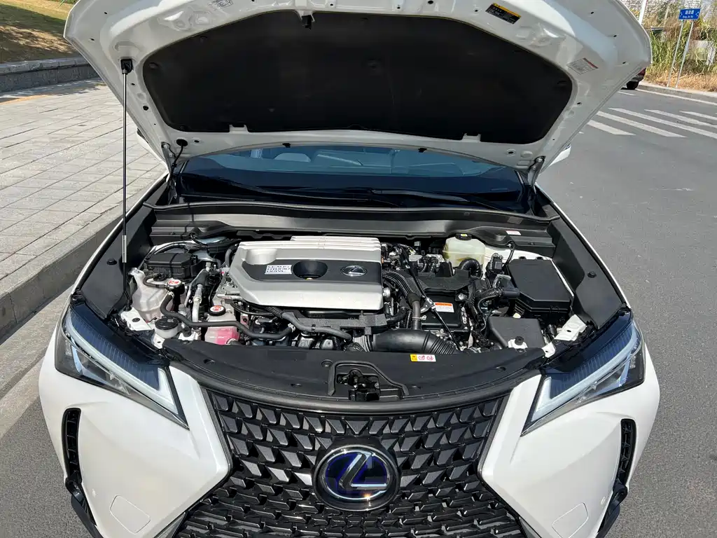 Lexus UX 2021 — фото 30