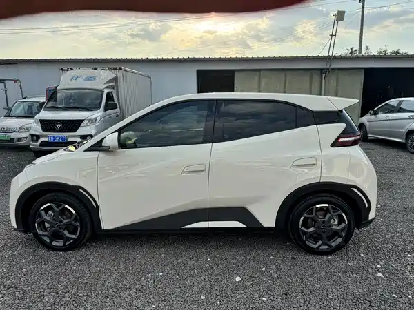 BYD Seagull 2024