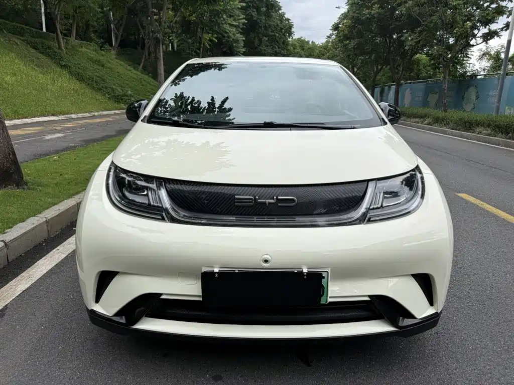 BYD Dolphin 2023
