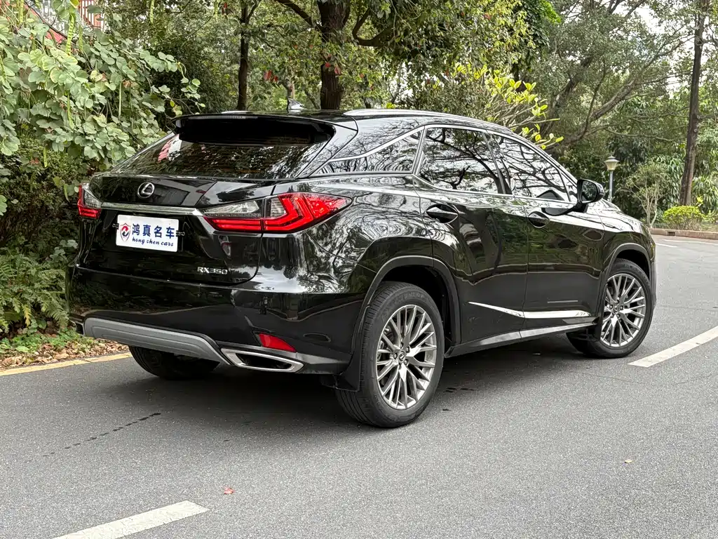 Lexus RX 2020 — фото 5