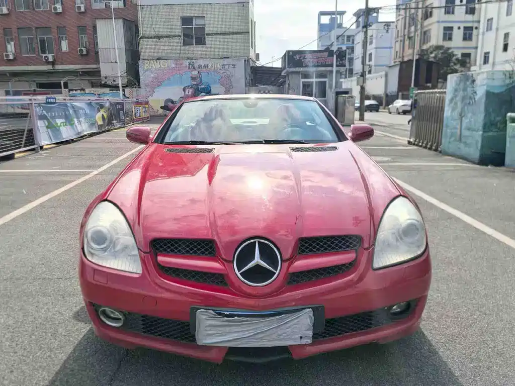 Mercedes-Benz SLK-Class 2010