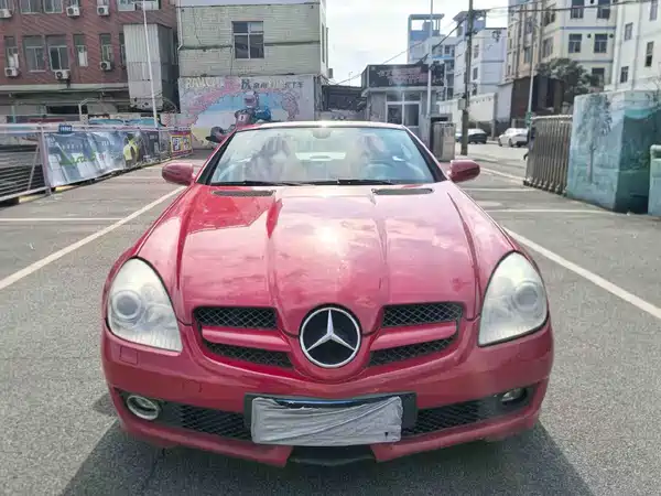 Mercedes-Benz SLK-Class 2010