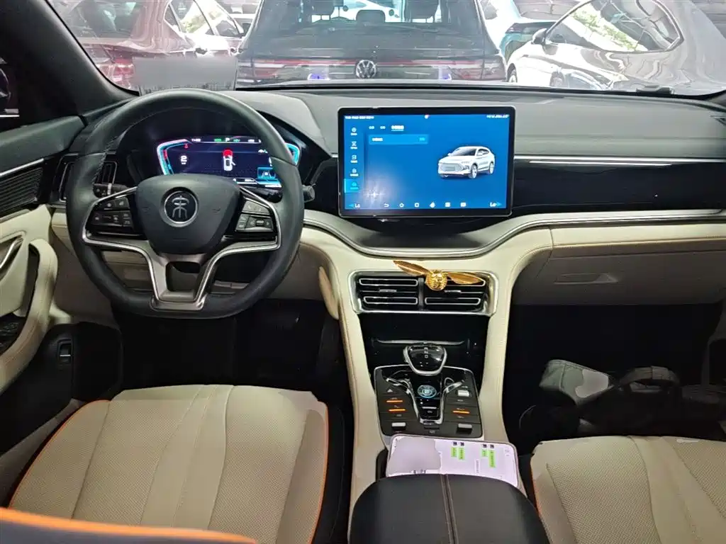 BYD PLUS New Energy 2022 — фото 10