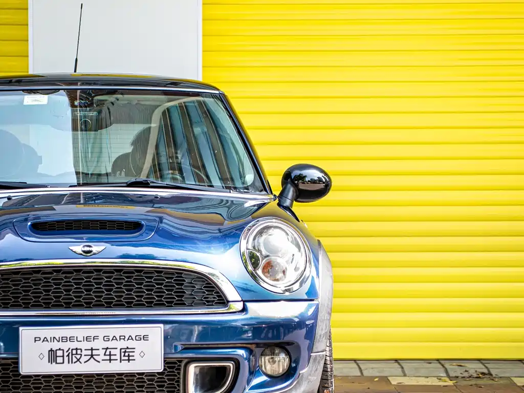 MINI MINI 2012