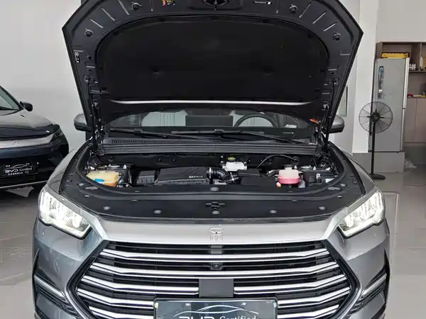 BYD Song Pro New Energy 2022
