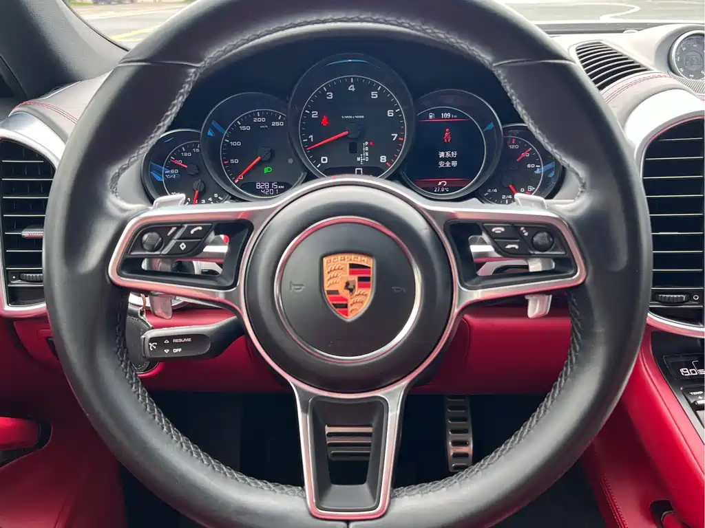Porsche Cayenne 2017 — фото 14