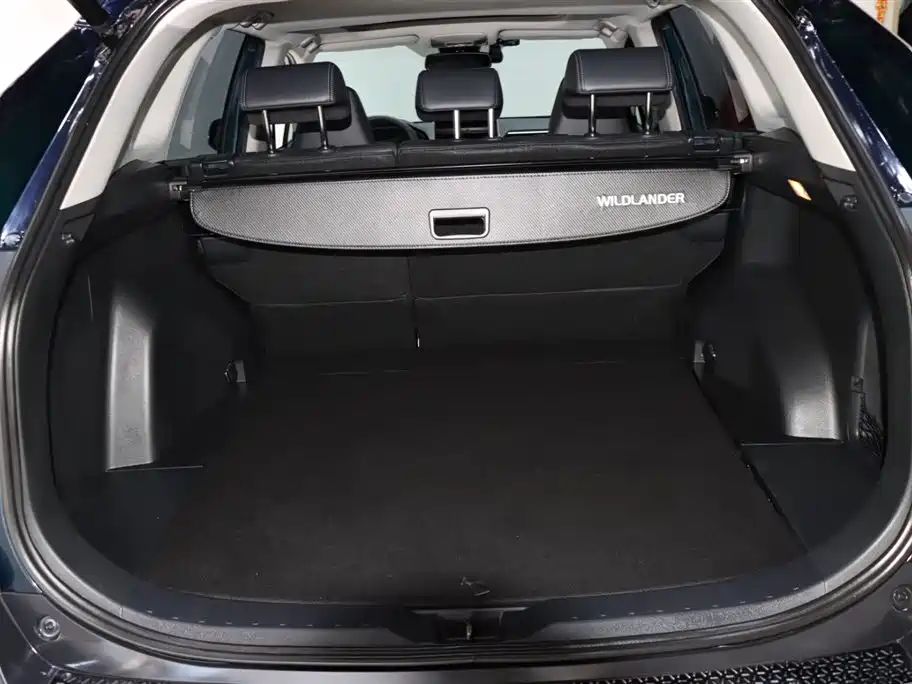 Toyota Wildlander 2020 — фото 17