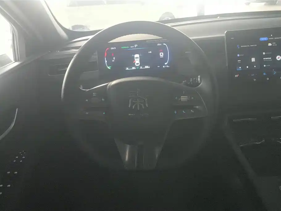BYD Qin PLUS 2025 — фото 15