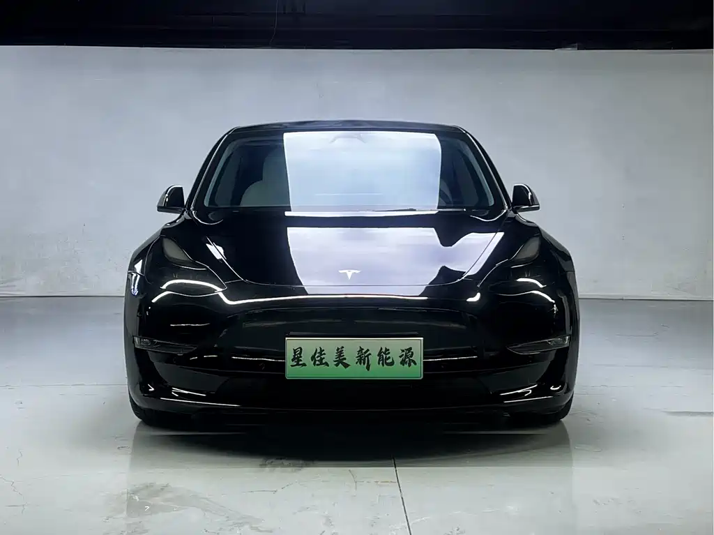 Tesla Model 3 2021 — фото 2