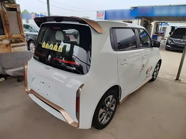 Ora White Cat 2022