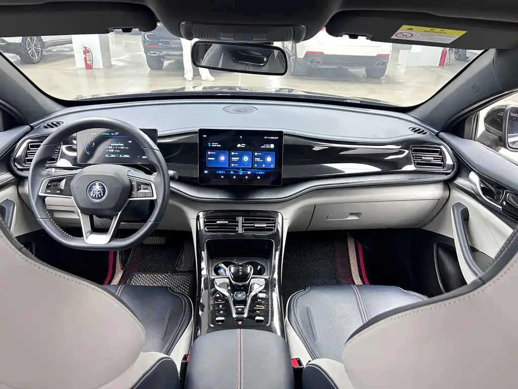 BYD Qin PLUS 2023 — фото 12