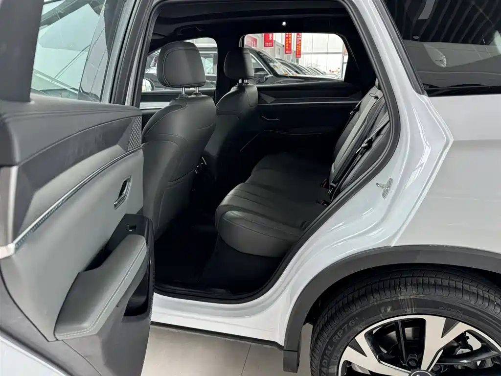 BYD Pro New Energy 2025 — фото 8