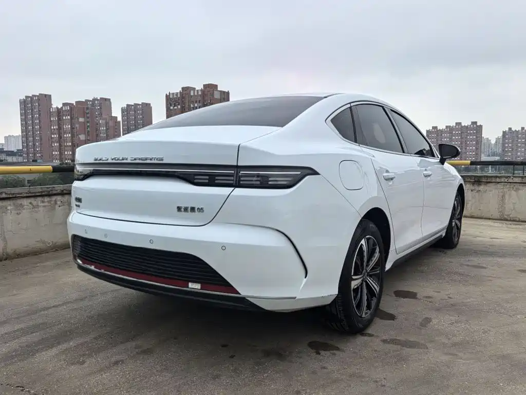 BYD Destroyer 05 2023 — фото 12