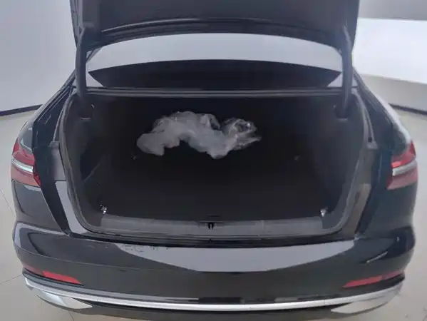 Audi A6L 2025