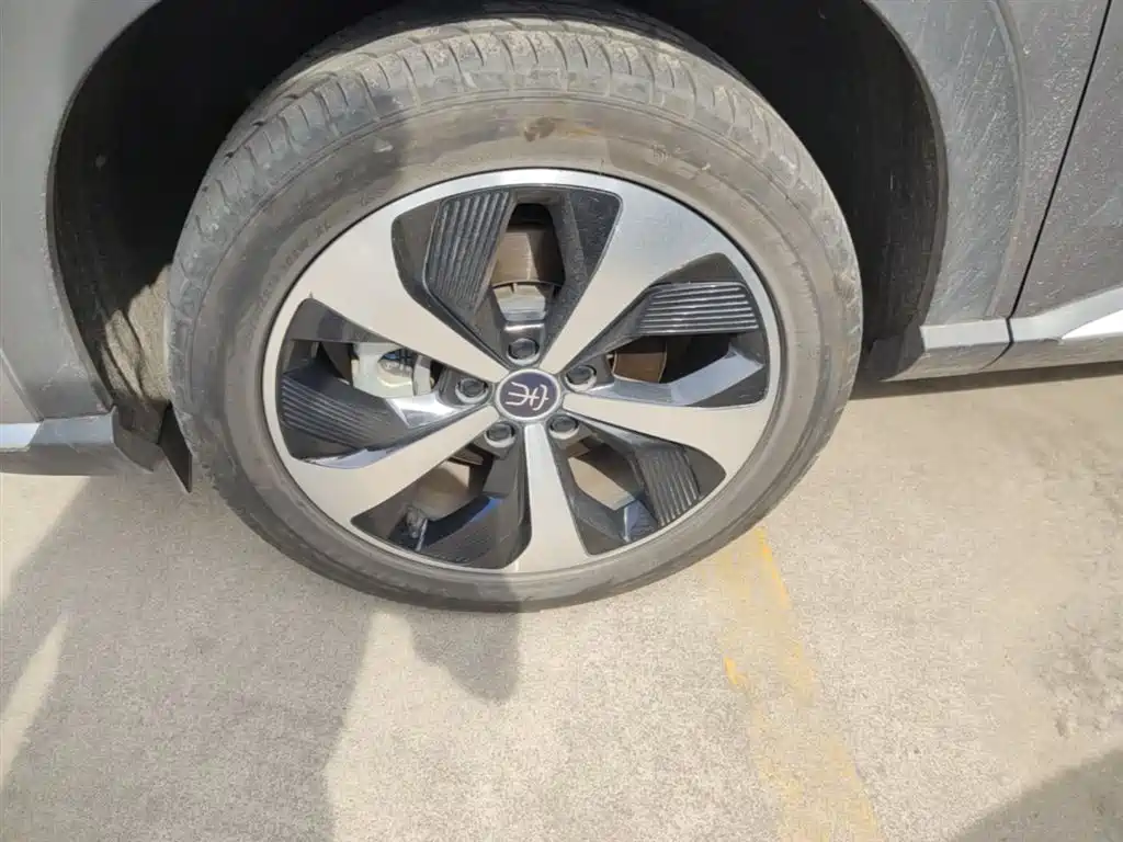 BYD PLUS New Energy 2022 — фото 23