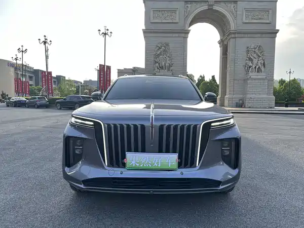 Hongqi E-HS9 2021