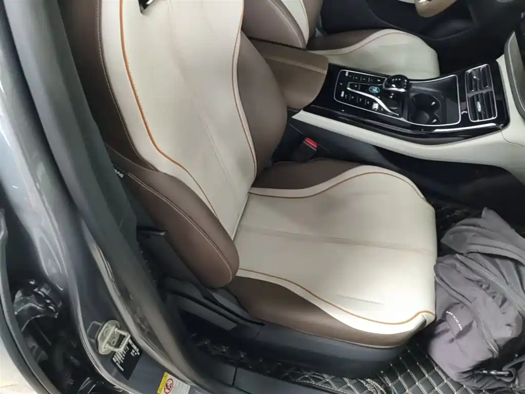 BYD Qin PLUS 2024 — фото 25