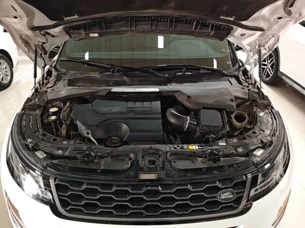 Land Rover Evoque 2020 — фото 20