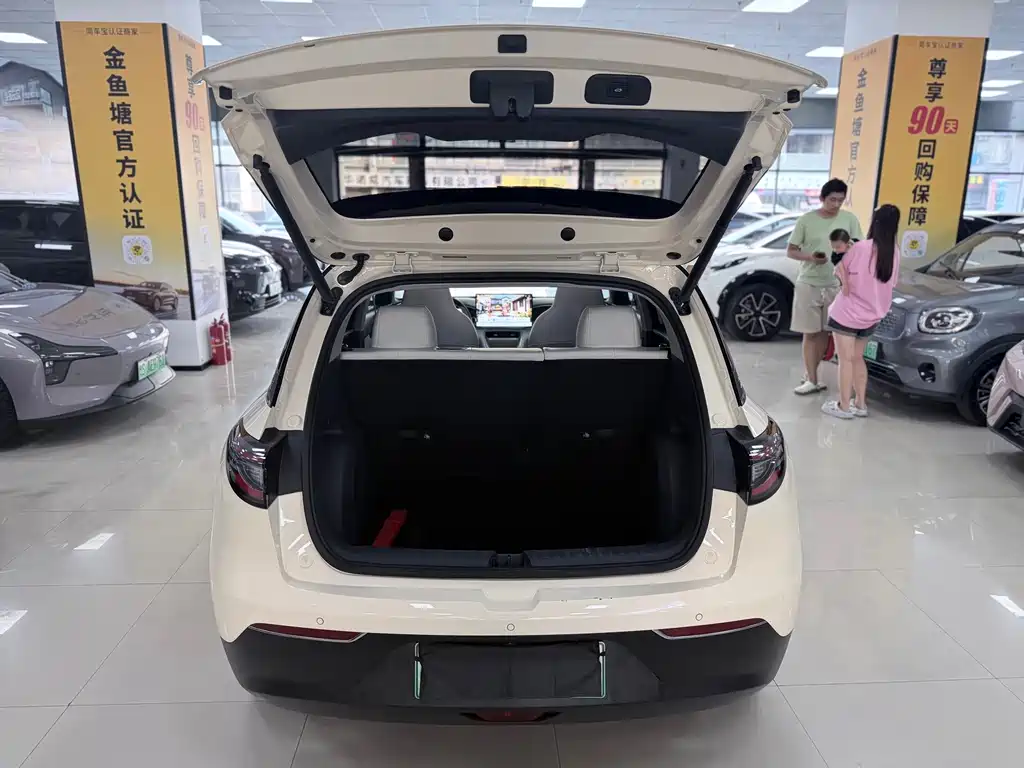 Geely Galaxy Starwish 2024 — фото 10