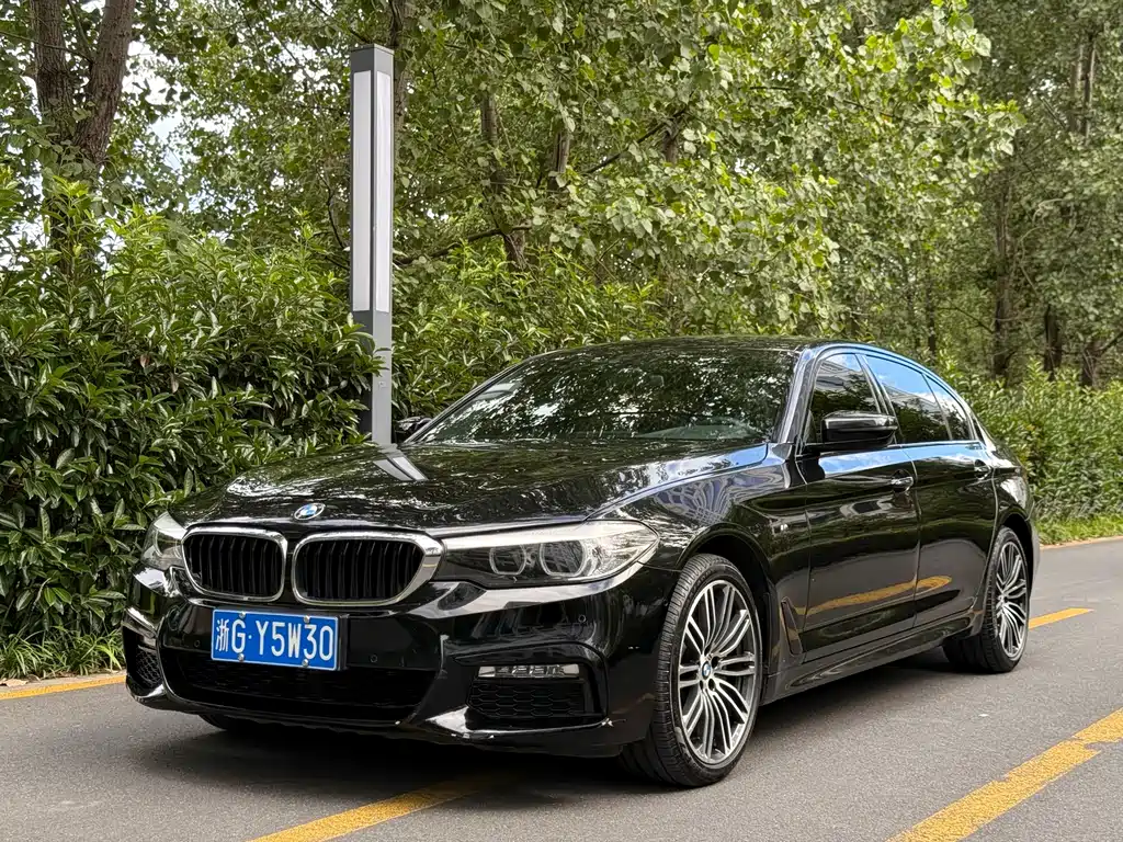 BMW 5 Series 2017