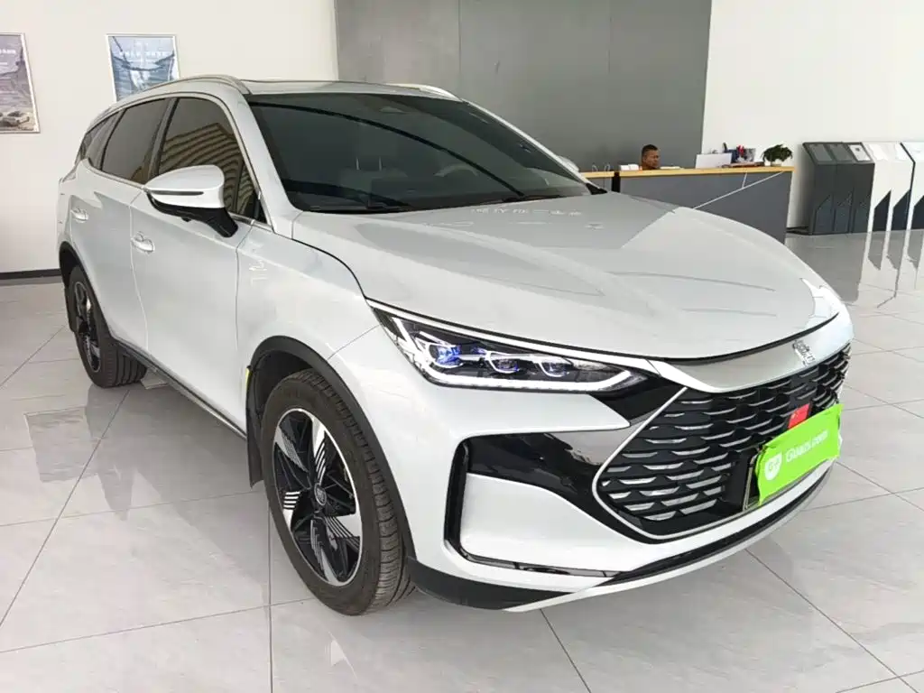 BYD Tang New Energy 2024 — фото 22