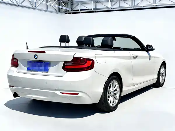 BMW 2 Series 2015