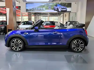 MINI MINI 2019