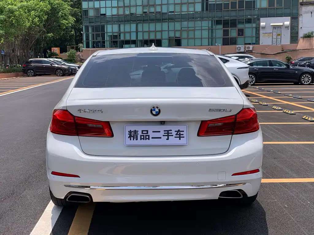 BMW 5 Series 2019