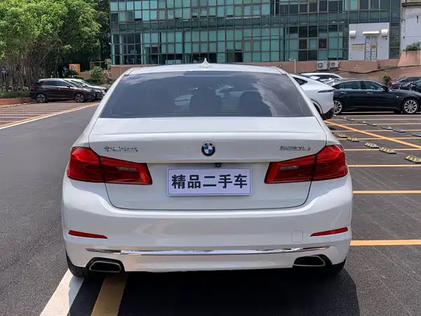 BMW 5 Series 2019