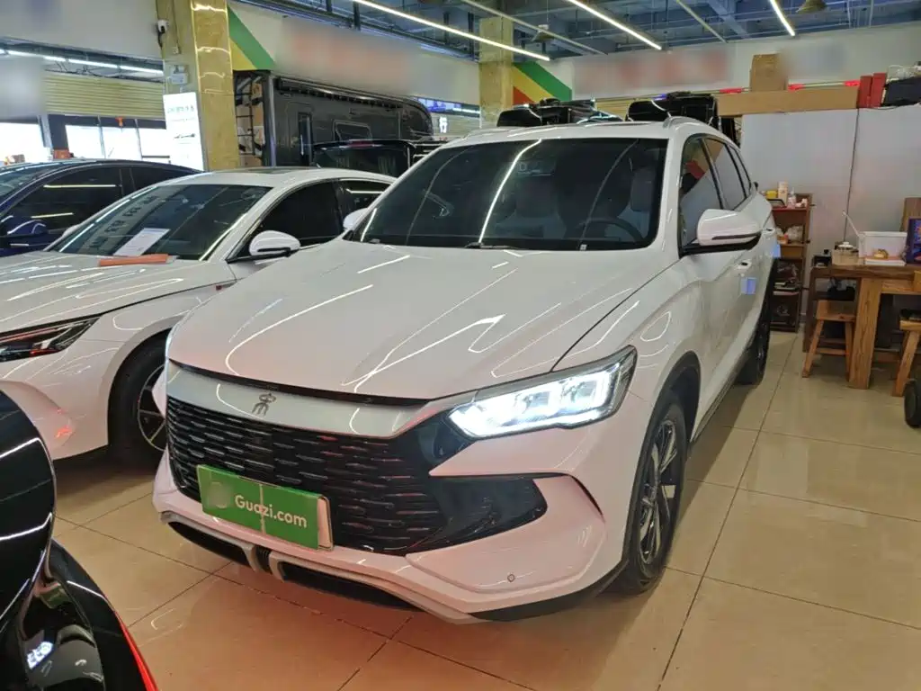 BYD Pro New Energy 2024 — фото 1