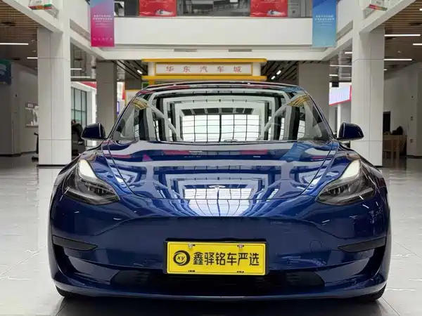 Tesla Model 3 2021