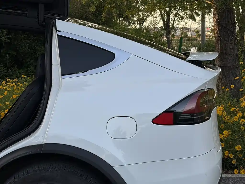 Tesla Model X 2020 — фото 6