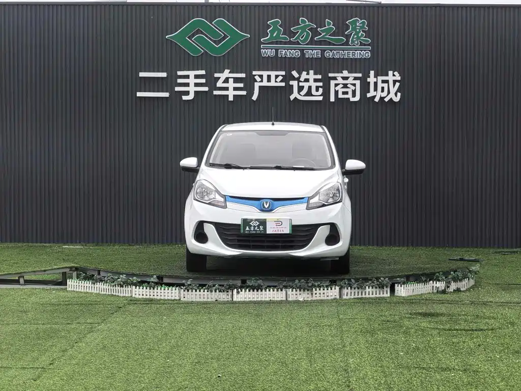 Changan EV 2019 — фото 2