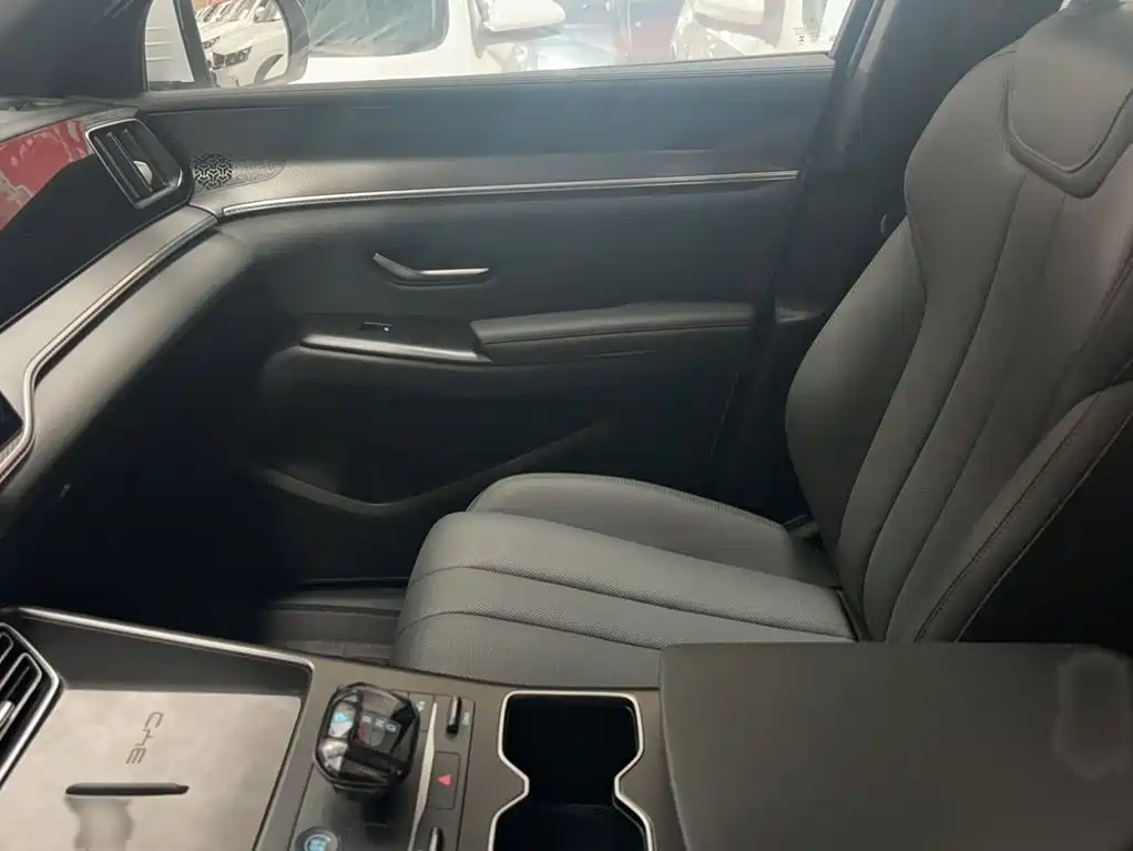 BYD Pro New Energy 2025 — фото 14