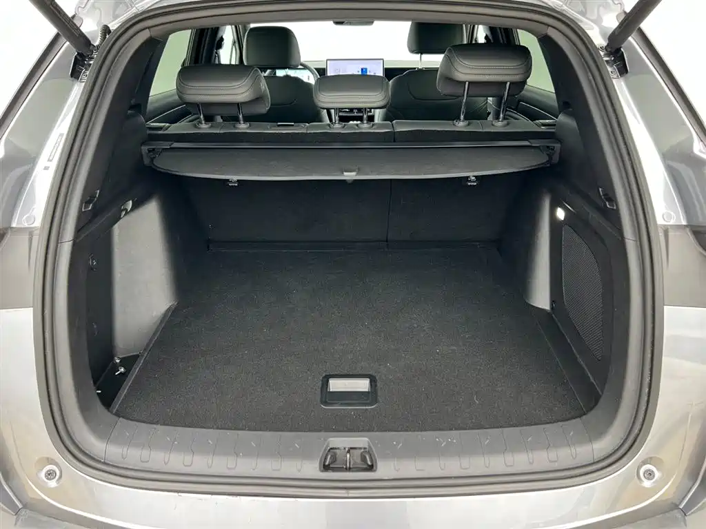 BYD L DM-i 2025 — фото 18