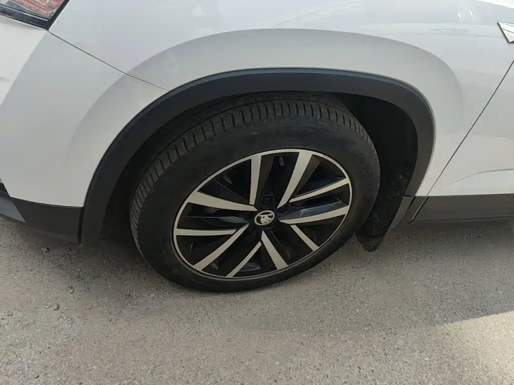 Skoda Kamiq 2020 — фото 23