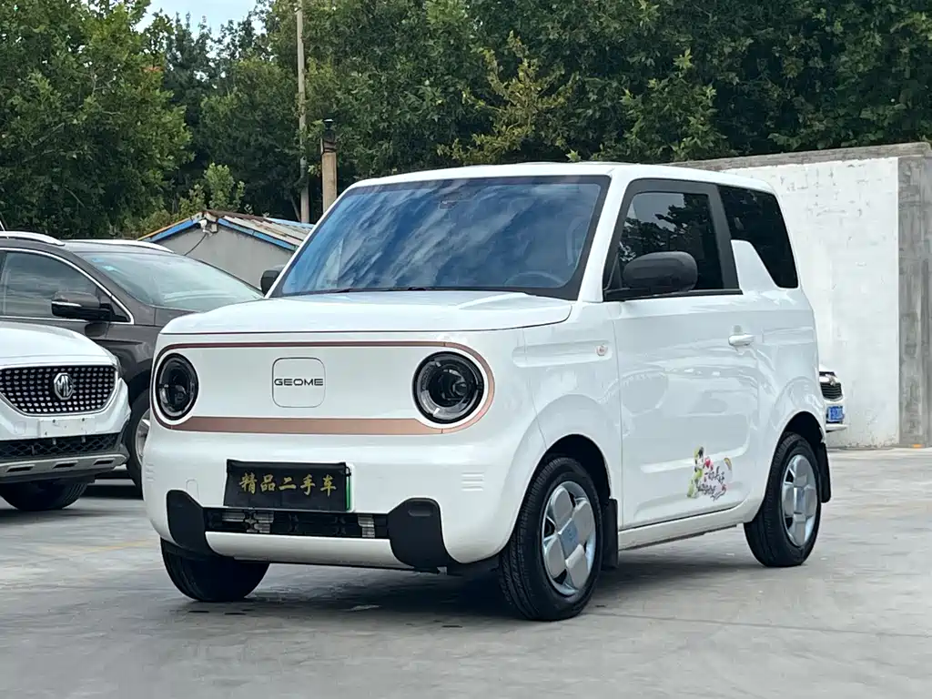 Geely Galaxy Panda 2025 — фото 1
