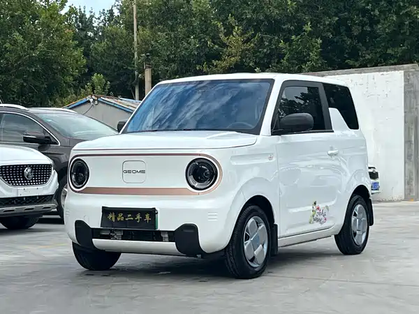 Geely Galaxy Panda 2025