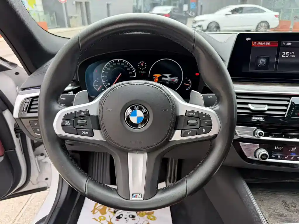 BMW 5 Series 2019 — фото 20