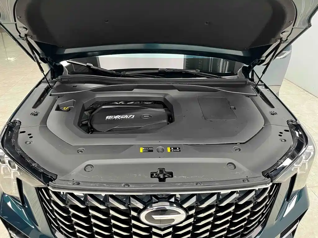 GAC Trumpchi GS8 2022 — фото 23