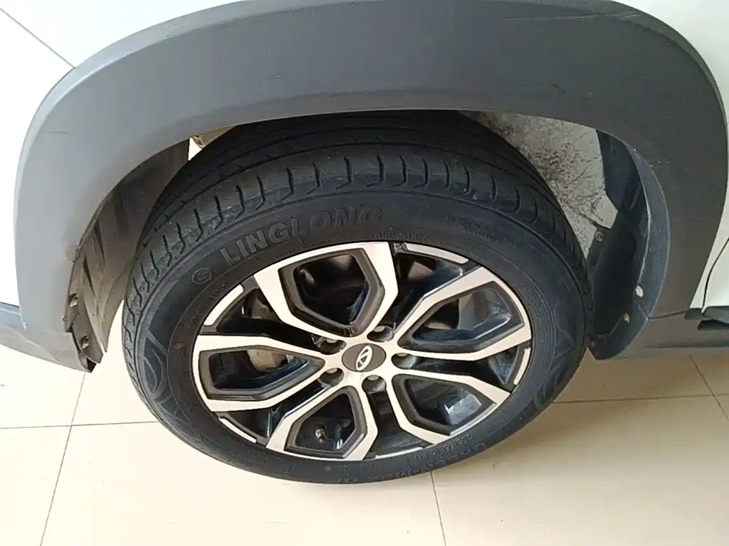 Chery Tiggo 3x 2019 — фото 23
