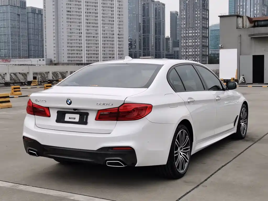 BMW 5 Series 2018 — фото 15