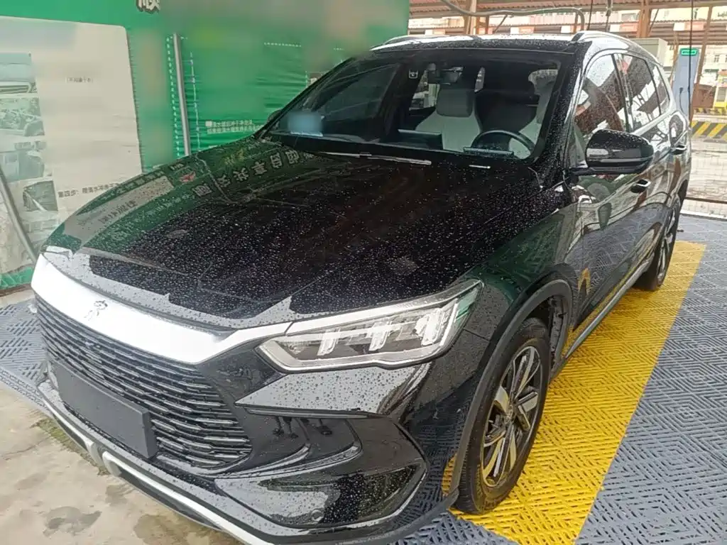 BYD Pro New Energy 2024 — фото 2