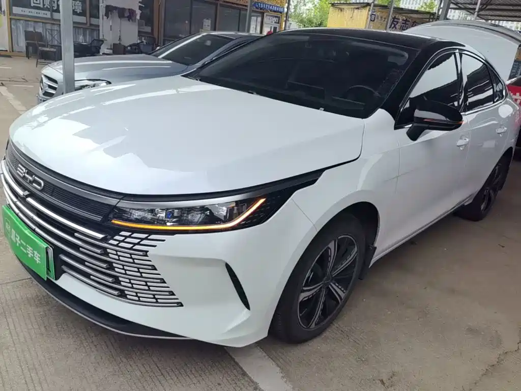BYD Destroyer 05 2024